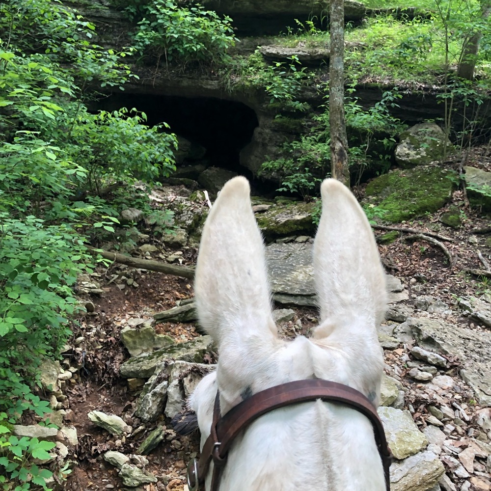 Meet your Posher, Marcia